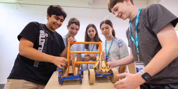 Chicken Run Engineering